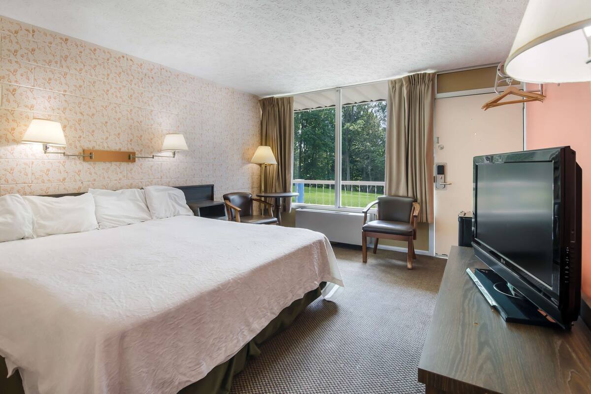 Een hotelkamer met een groot bed, een bureau met een flatscreen televisie, twee wandlampen, een stoel en uitzicht op groen buiten het raam.