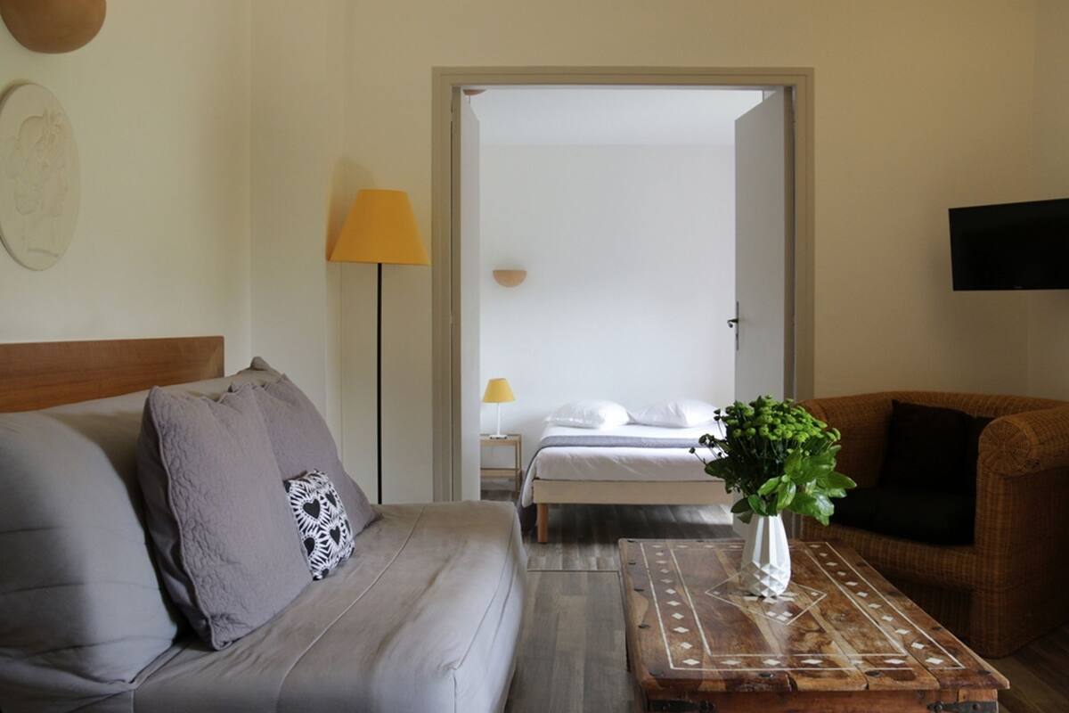 A hotel room with a bed, a sofa, a coffee table with a plant, a lamp, and a television.