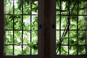 Útsýni frá gististað