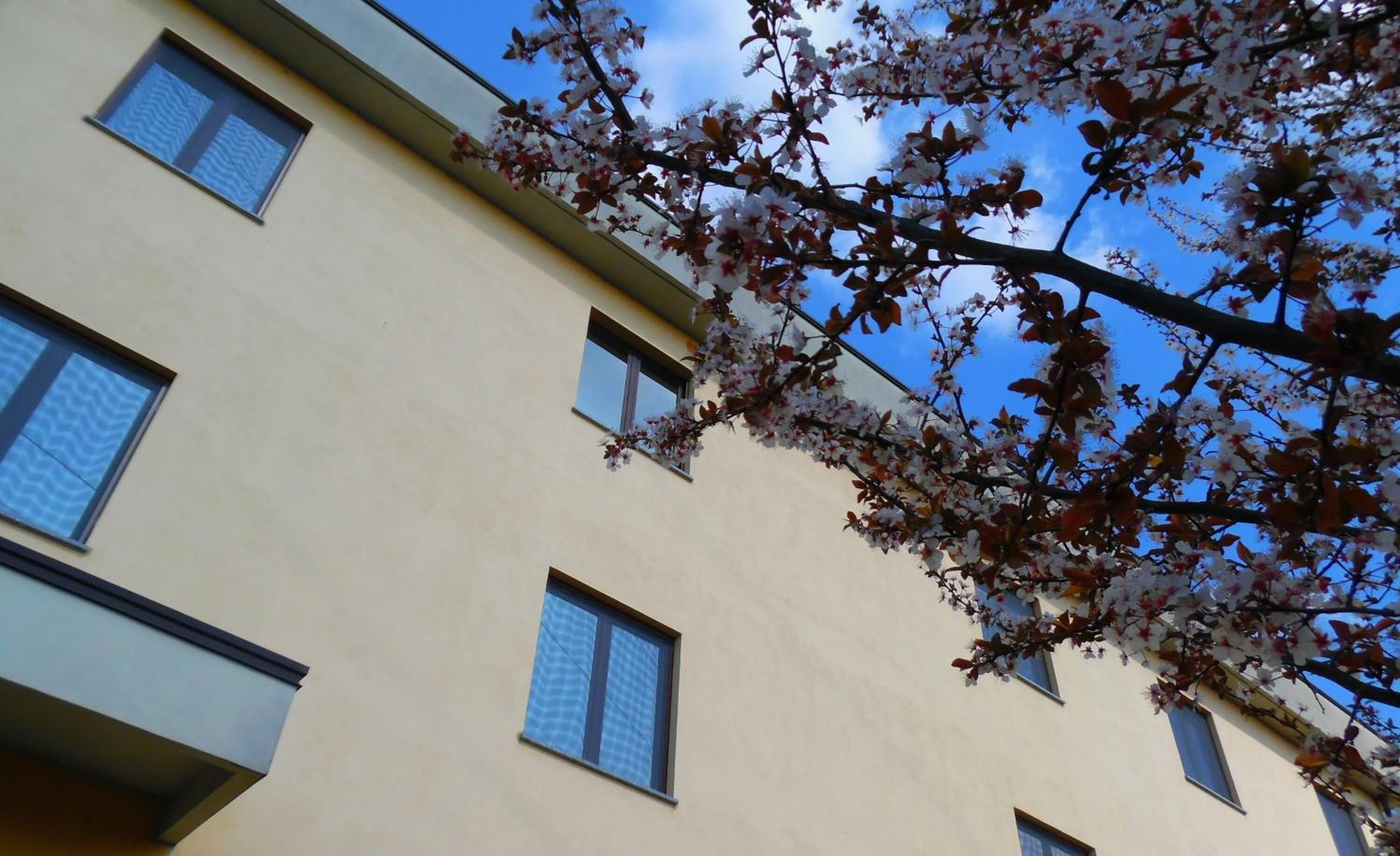 Photo - Hotel Majestic