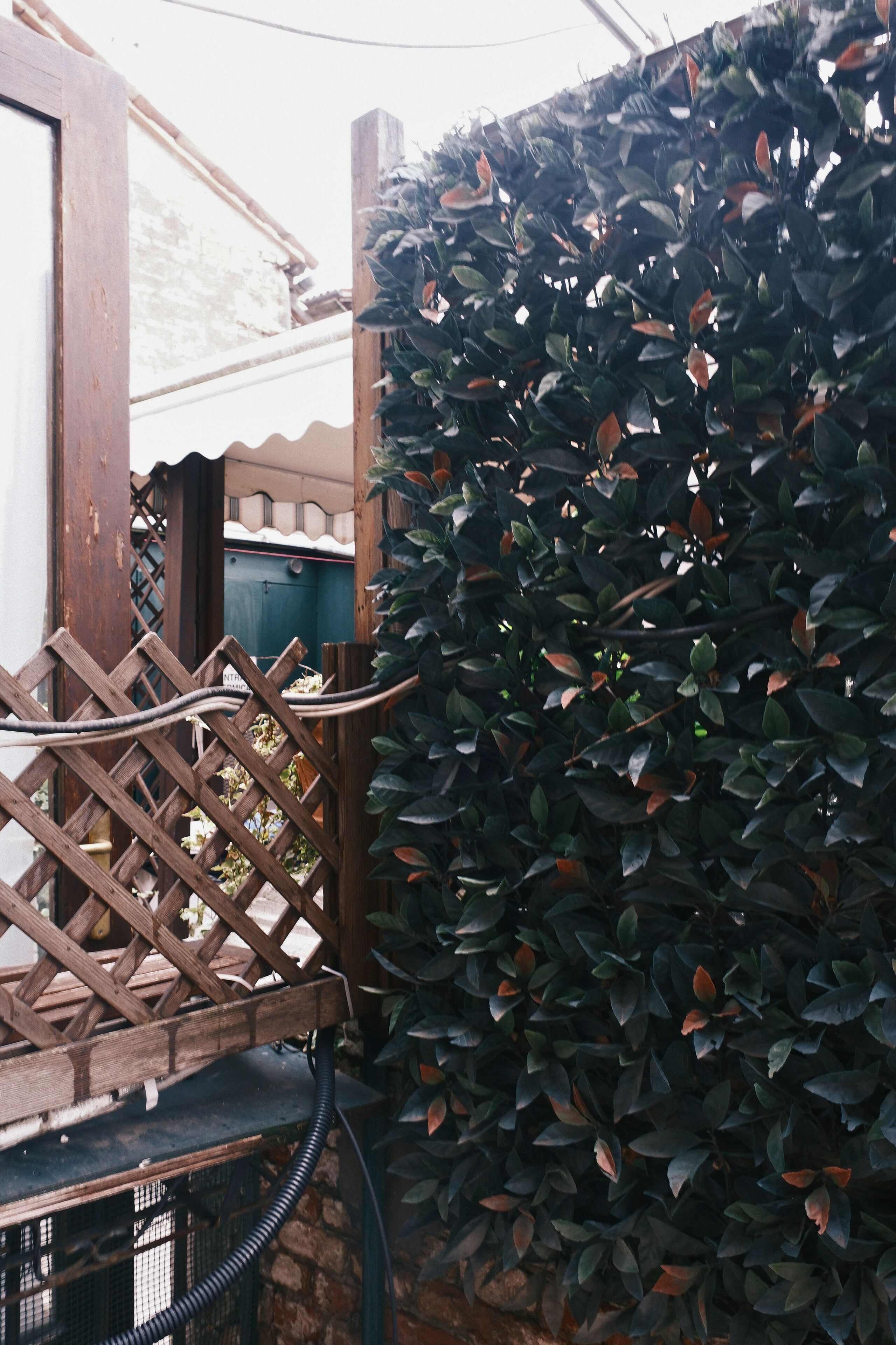 Foto - H O T E L S A N G A L L O l