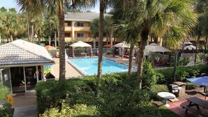 Zona de piscina con palmeras, sombrillas y sillas de descanso.