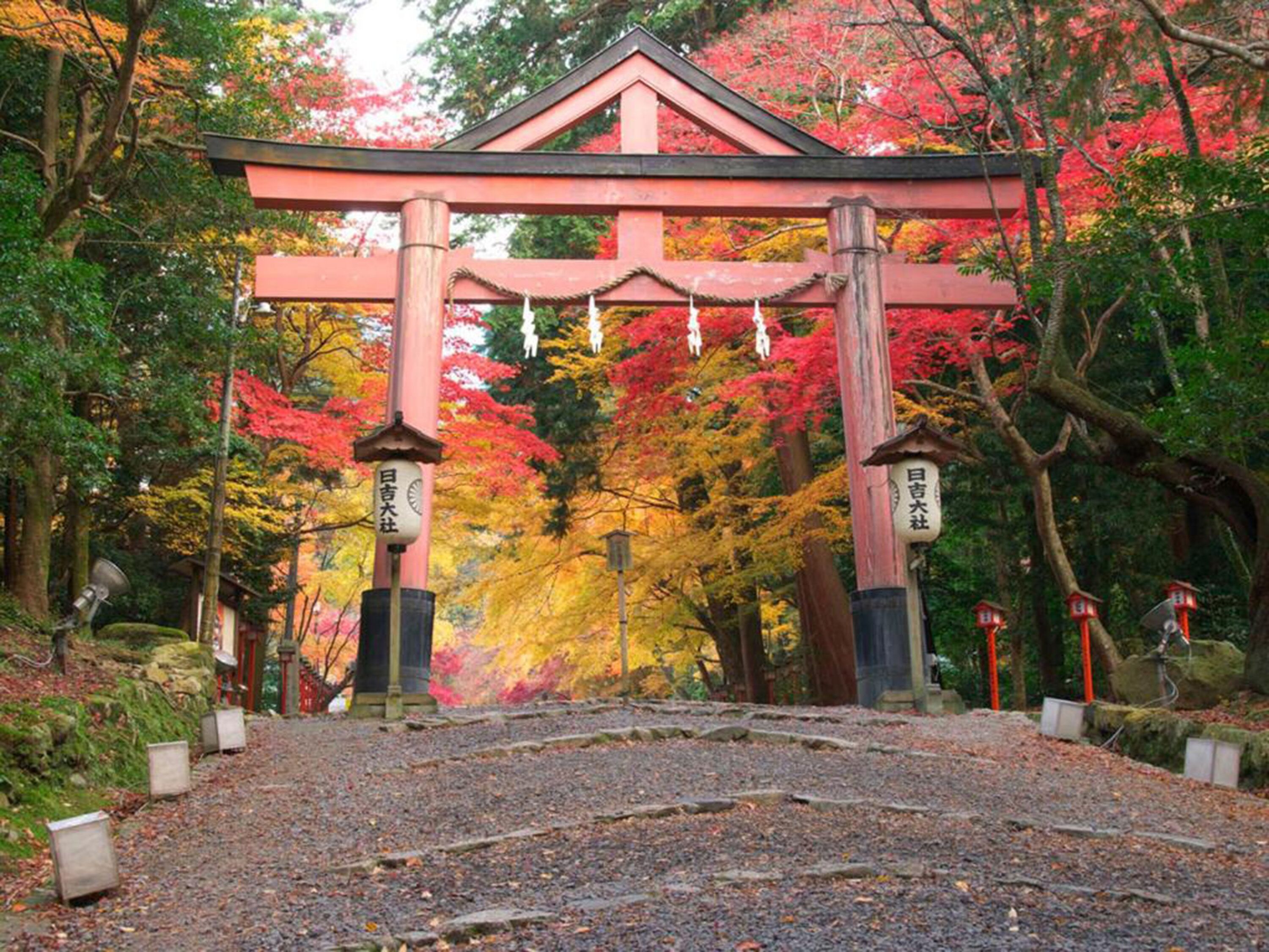 A traditional Japanese torii gate with a gravel path leading up to it, surrounded by autumn foliage.