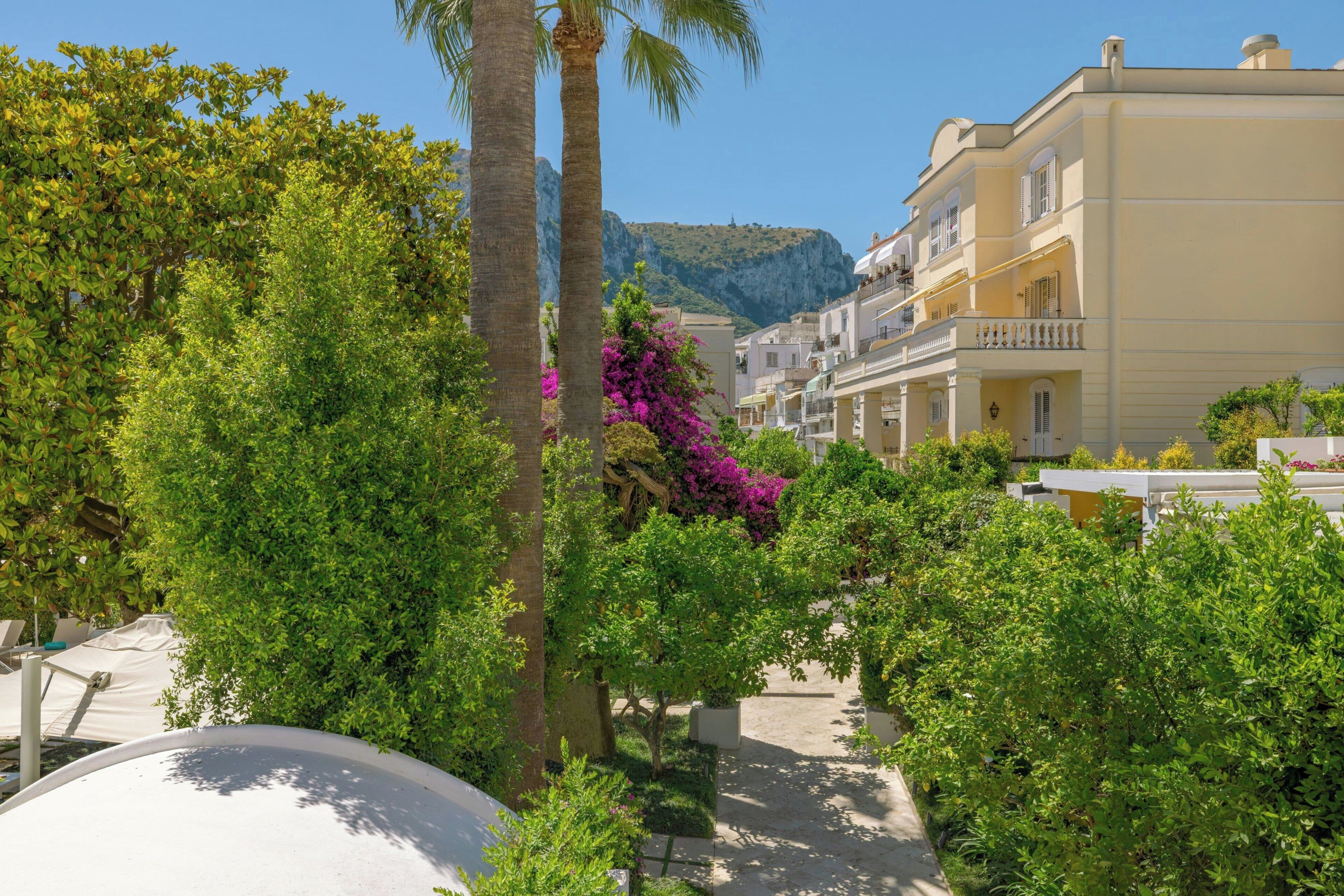 A courtyard with palm trees, a pathway, and buildings with balconies.