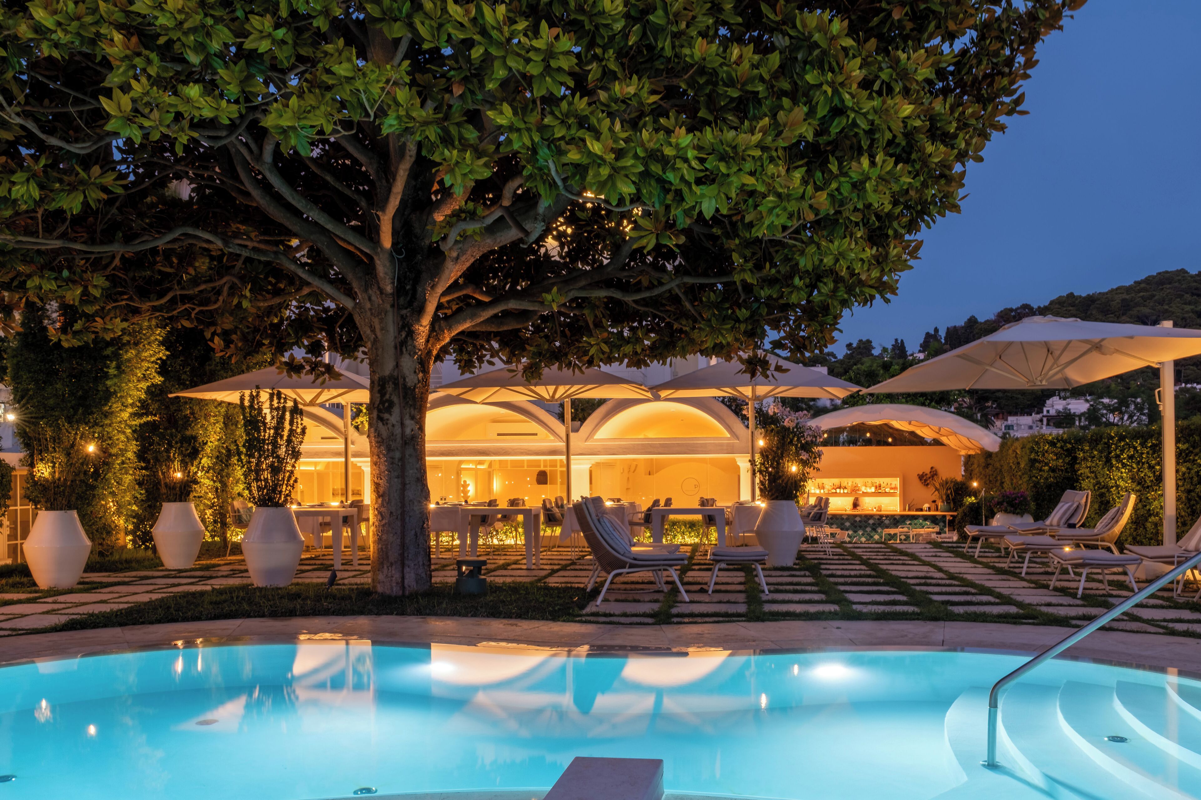 Un área de piscina con sillones de descanso y sombrillas, un bar con asientos y un árbol grande que proporciona sombra.