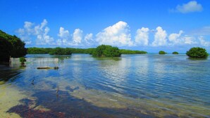 A calm water body with clear skies and greenery. - Decameron Marazul - All Inclusive (San Andrés)