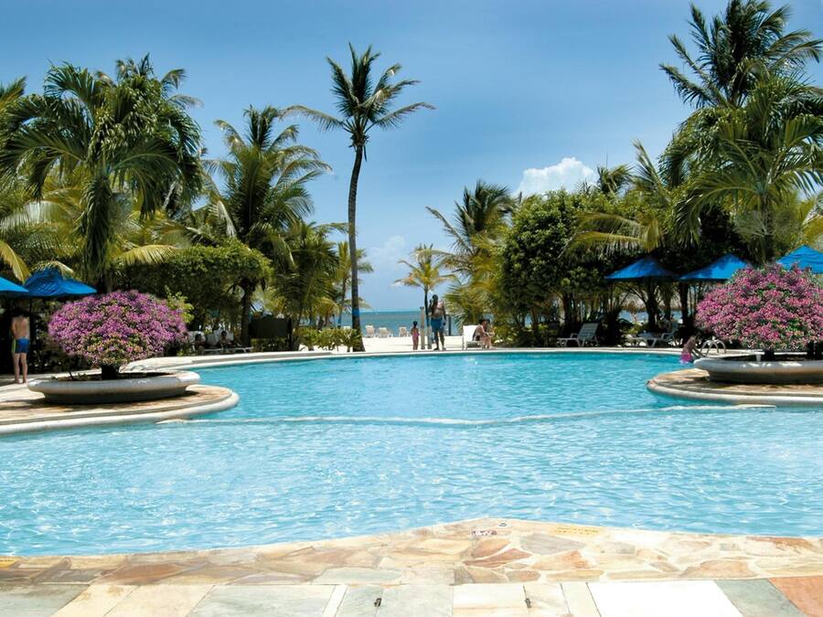 Zona de piscina con palmeras, sillas de descanso y vista al océano.