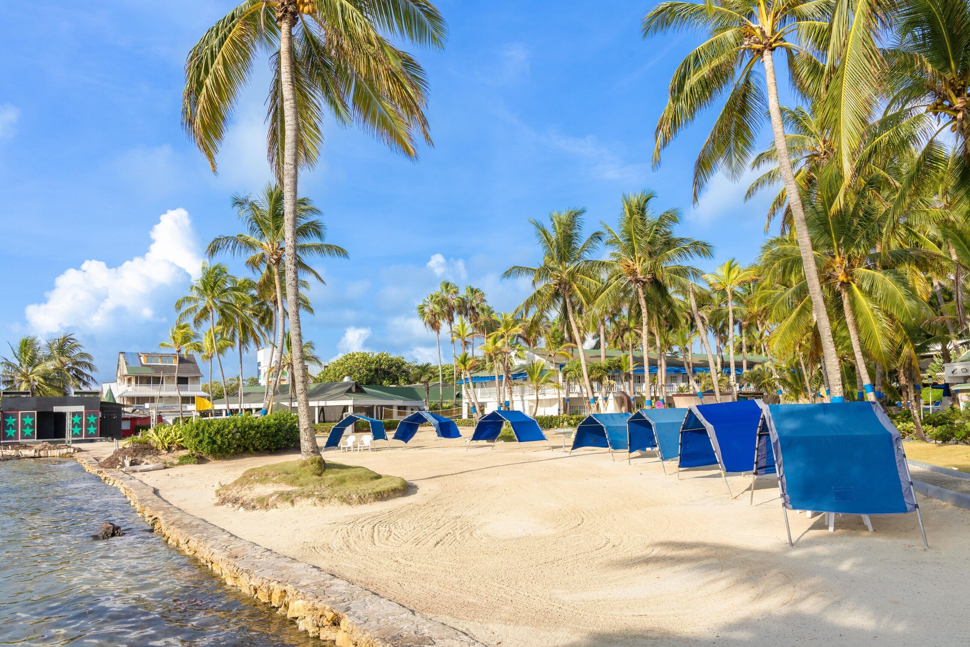 Una playa con palmeras, una zona arenosa y tiendas de campaña azules.