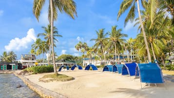 Una playa con palmeras, una zona arenosa y tiendas de campaña azules.