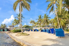 Una playa con palmeras, una zona arenosa y tiendas de campaña azules.