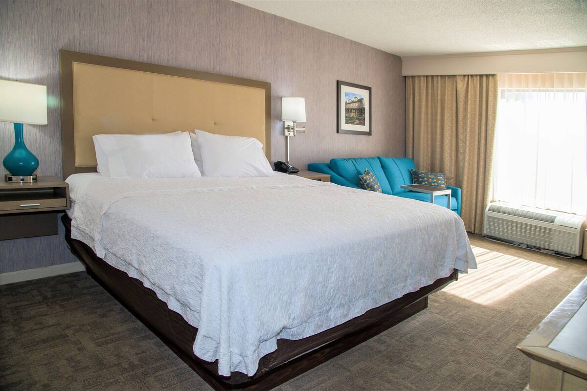 Habitación de hotel con una cama grande, una mesita de noche con lámpara, una silla, un cuadro en la pared y una ventana con cortinas.
