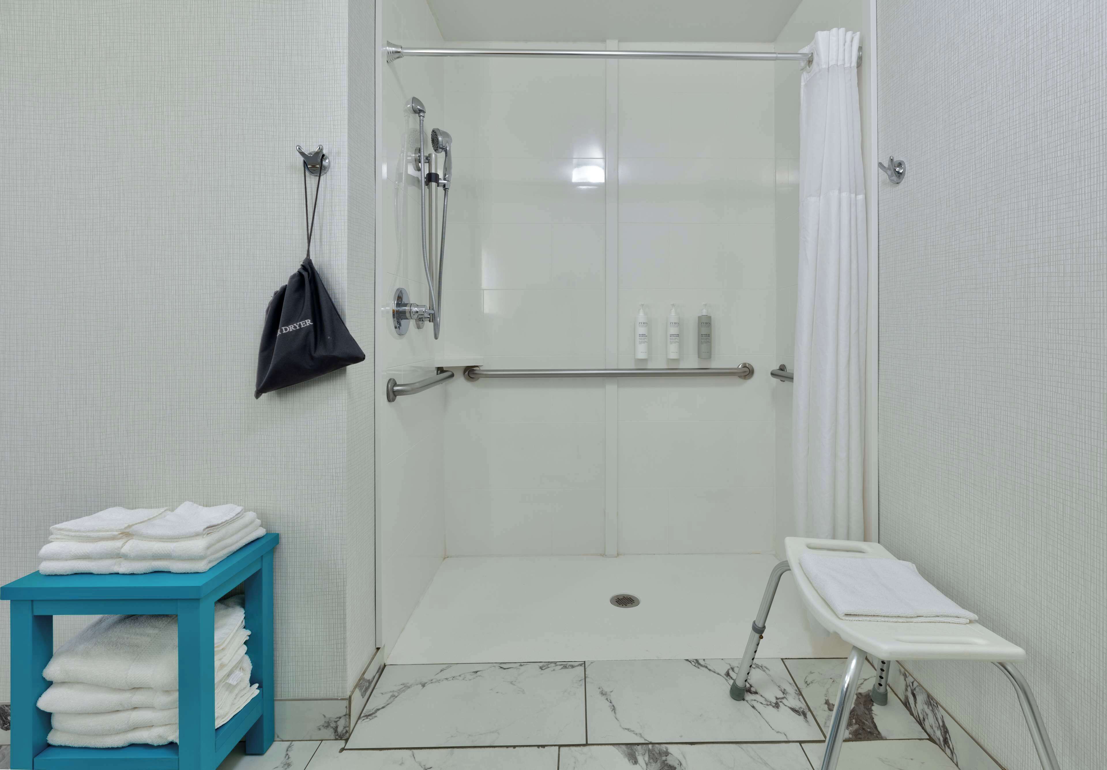 room, 1 king bed, accessible, non smoking | bathroom shower