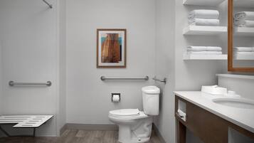 Room, 1 King Bed, Accessible, Non Smoking (w/ roll-in shower) | Bathroom shower