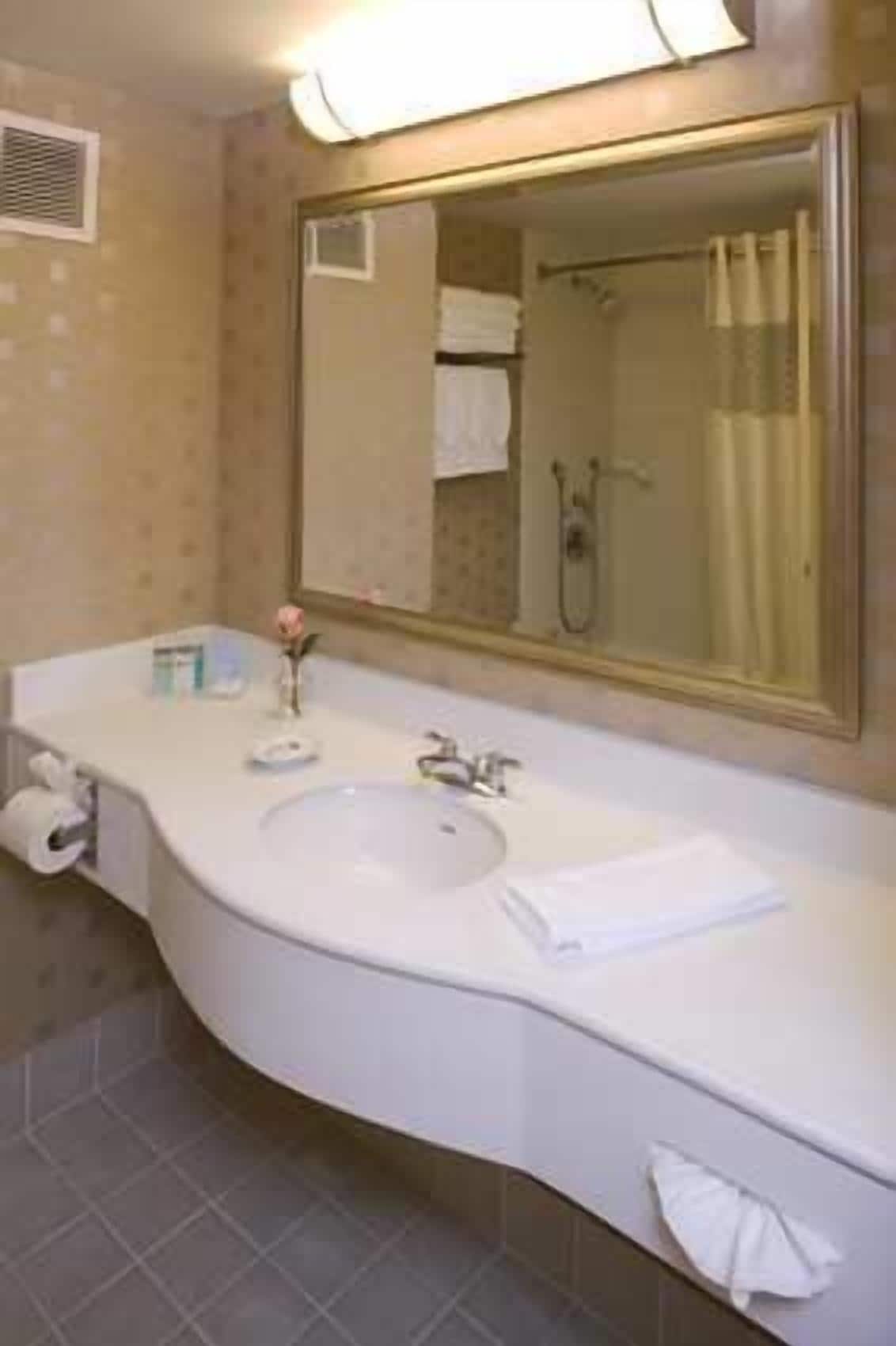 Un baño con lavamanos blanco, un espejo y cortina de ducha.