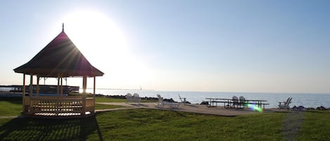 Pesca