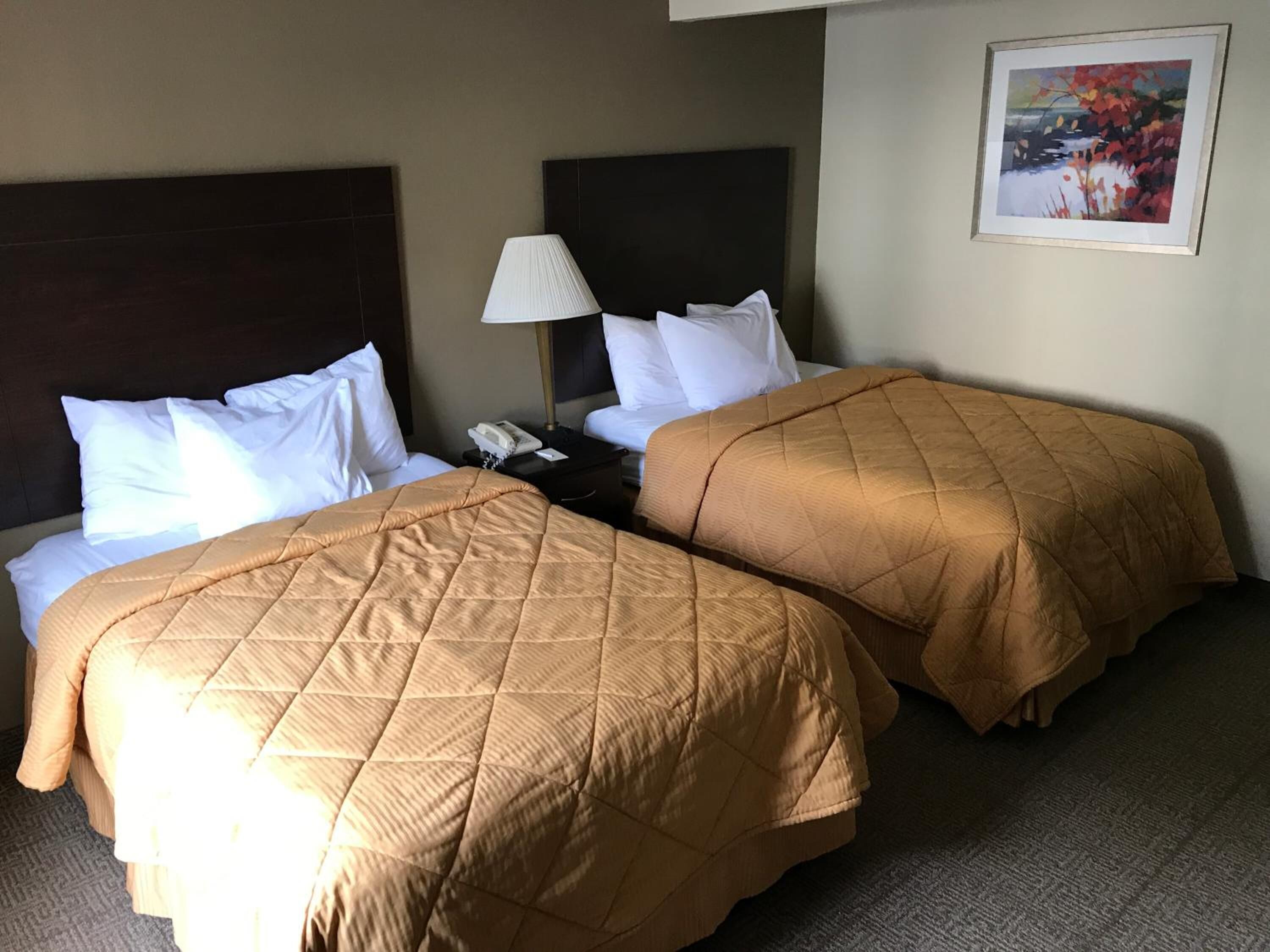 A hotel room with two beds, each with a quilted bedspread, a nightstand with a lamp, and a painting on the wall.