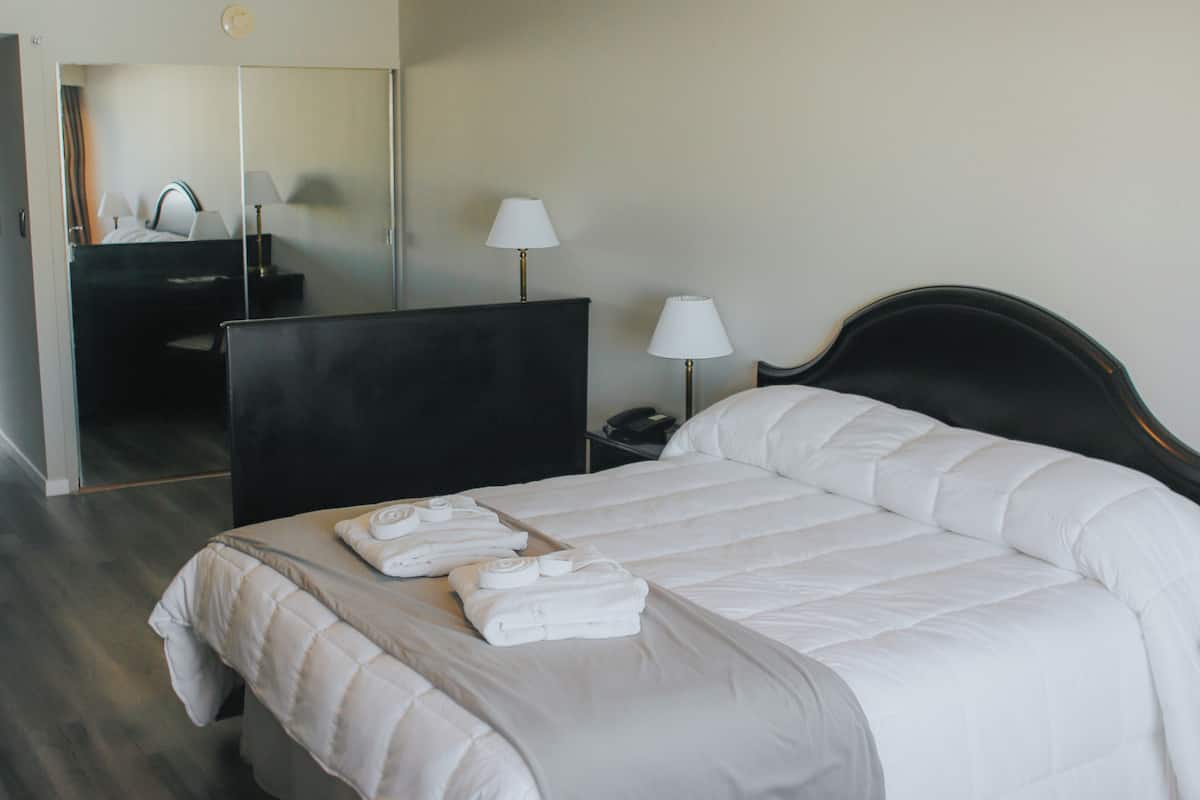 Executive Double Room, 1 Katil Raja (King) | Peti besi dalam bilik, langsir/tirai gelap terus, kalis bunyi 