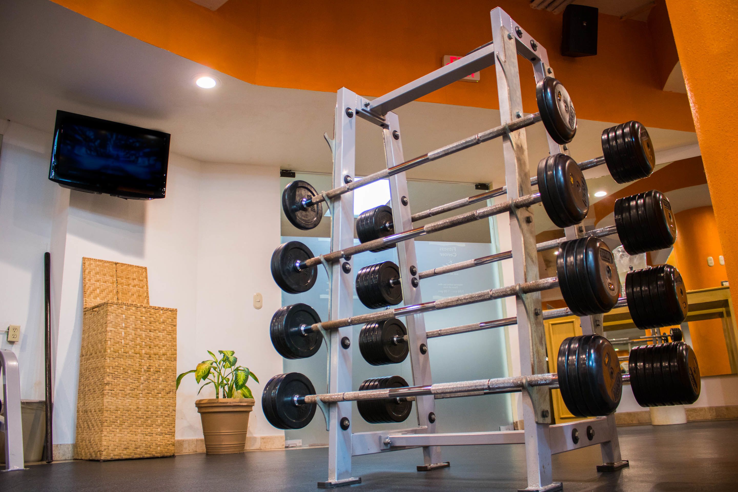 Un gimnasio con un rack de levantamiento de pesas, un televisor y una planta en maceta.