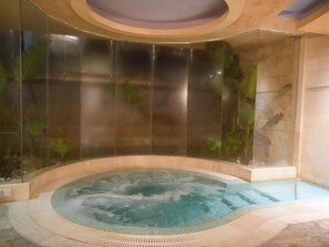 Outdoor treatment area, sauna, hot tub, steam room, body treatments