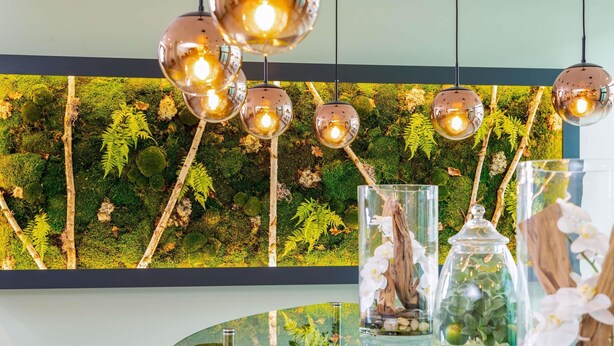 Quarto com mesa de vidro exibindo diversas plantas, parede com jardim vertical e luminárias esféricas penduradas.