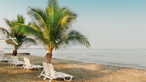 A beach with white lounge chairs, palm trees, and a calm sea.