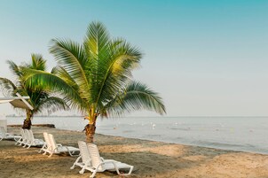On the beach, snorkeling, windsurfing, beach bar