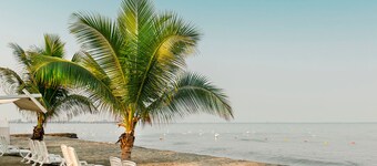 Decameron Galeon - All Inclusive