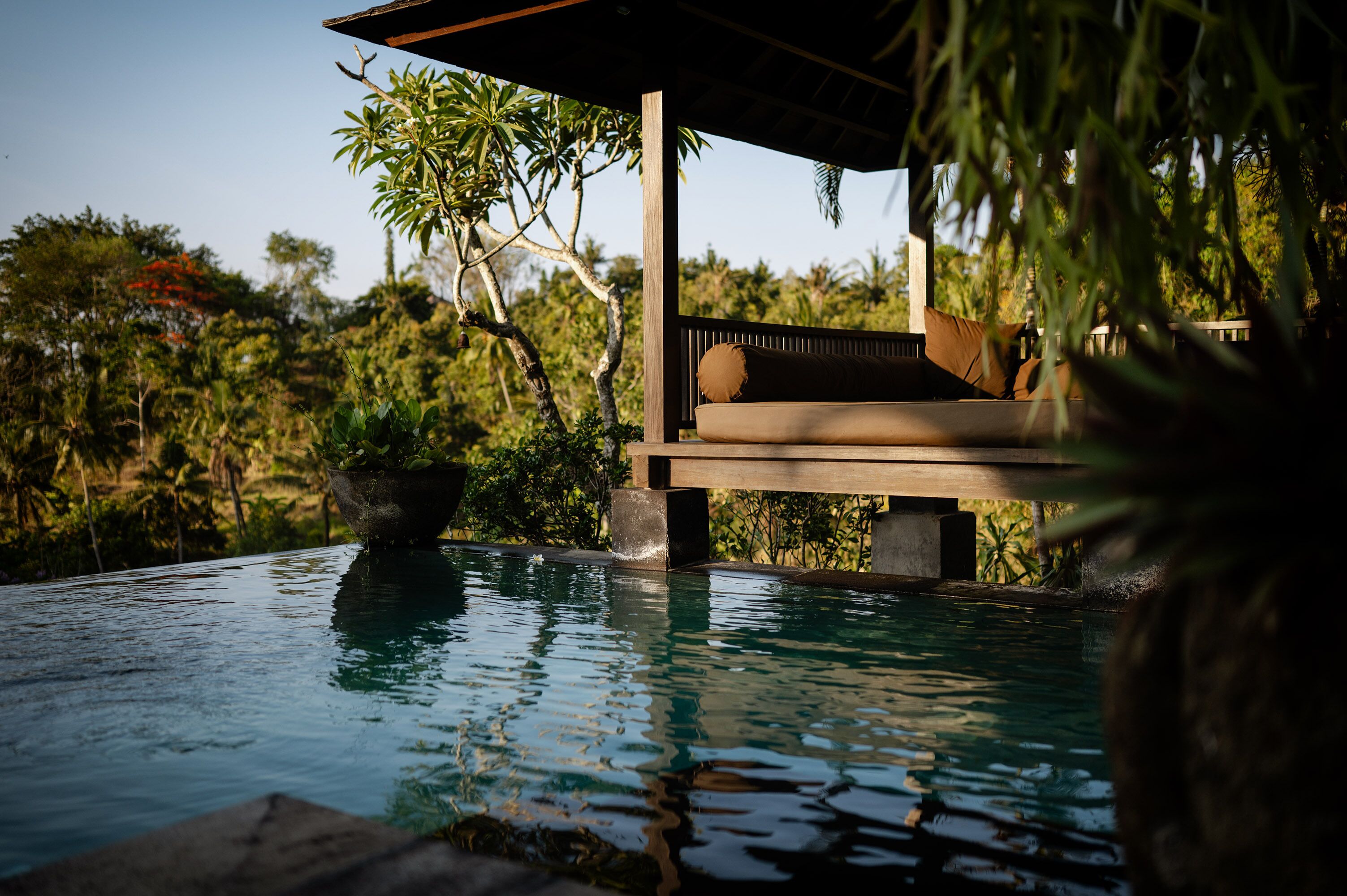 A poolside area with a wooden deck, a lounge chair, and lush greenery in the background.