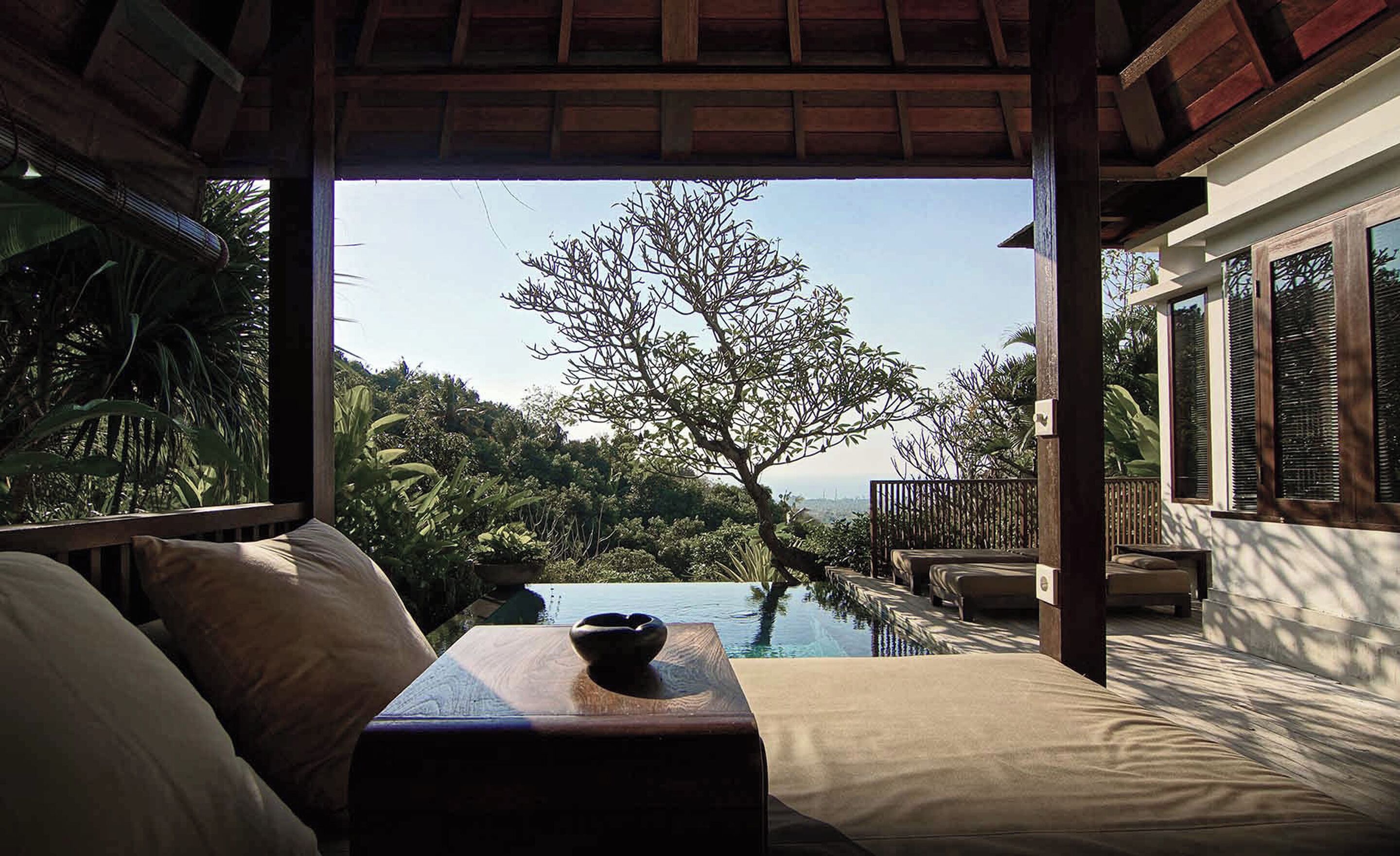 A room with a view of a tree and a pool.
