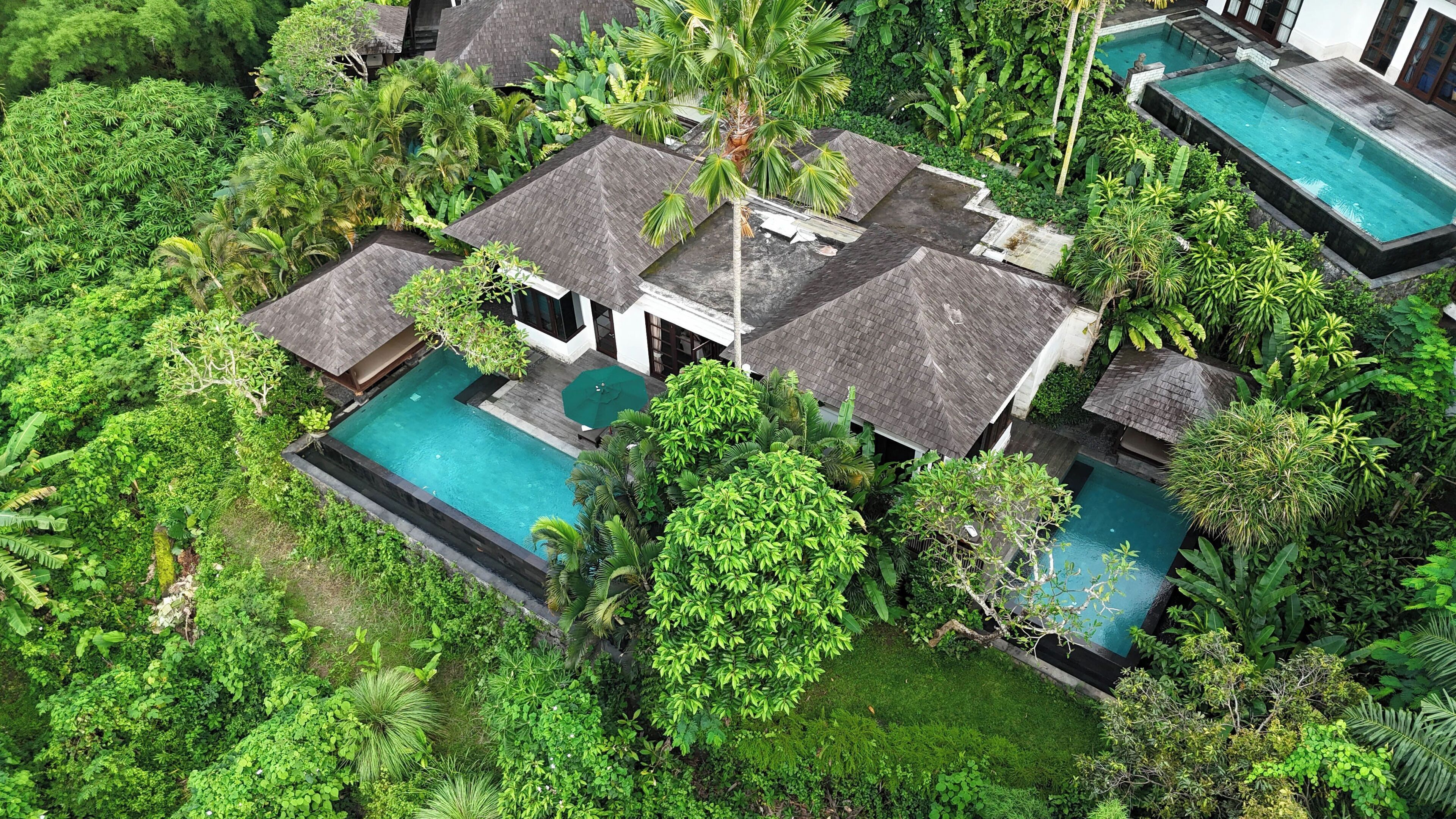 Foto - The Damai