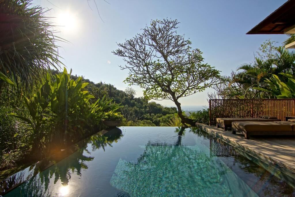 A clear view of an infinity pool with a wooden deck and lounge chairs, surrounded by lush greenery and a tree.