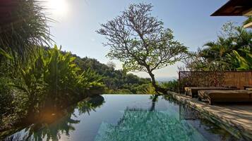 A clear view of an infinity pool with a wooden deck and lounge chairs, surrounded by lush greenery and a tree.