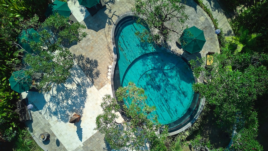 The Damai