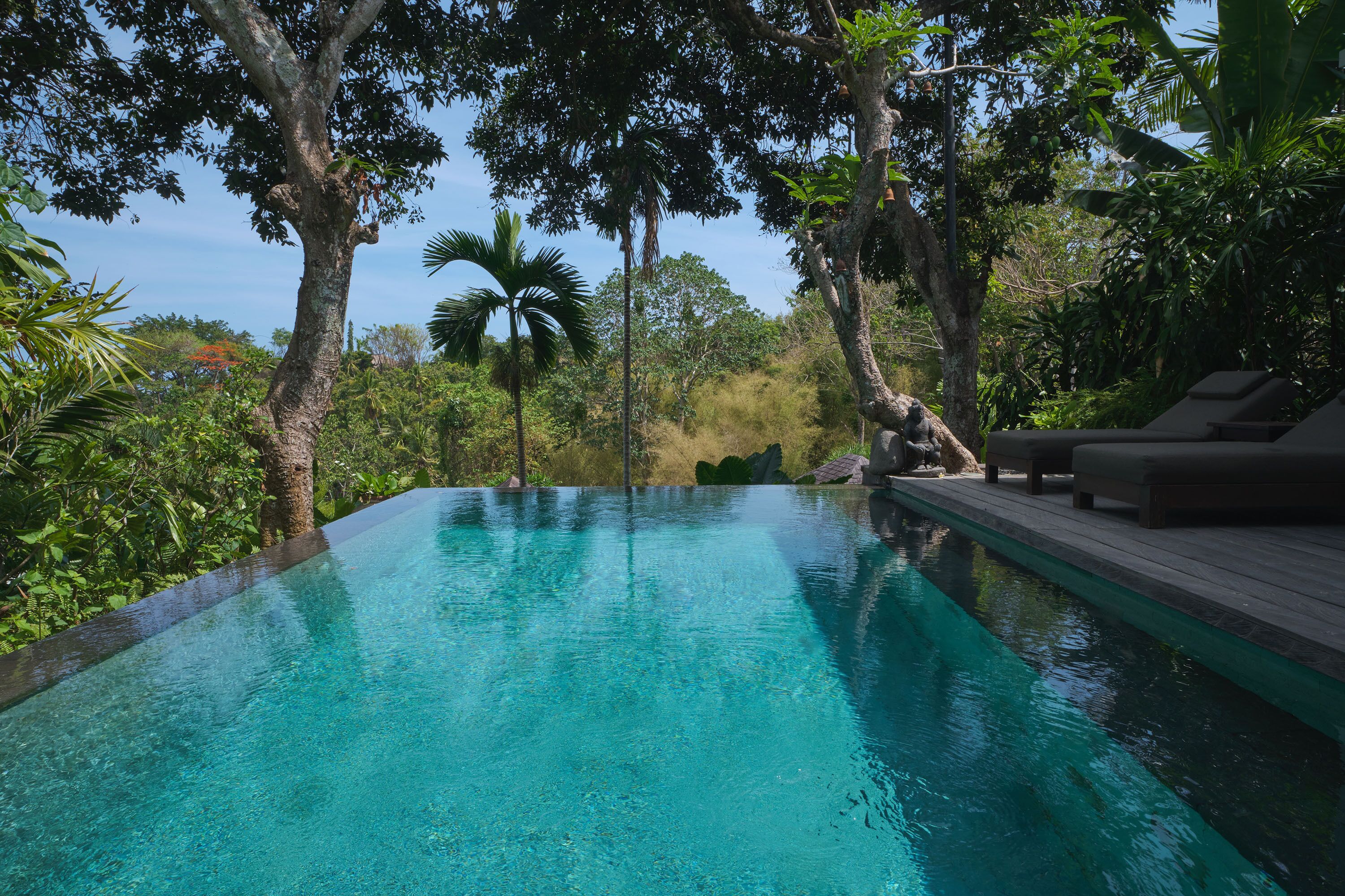 Una piscina rectangular y cristalina rodeada de abundante vegetación y árboles.