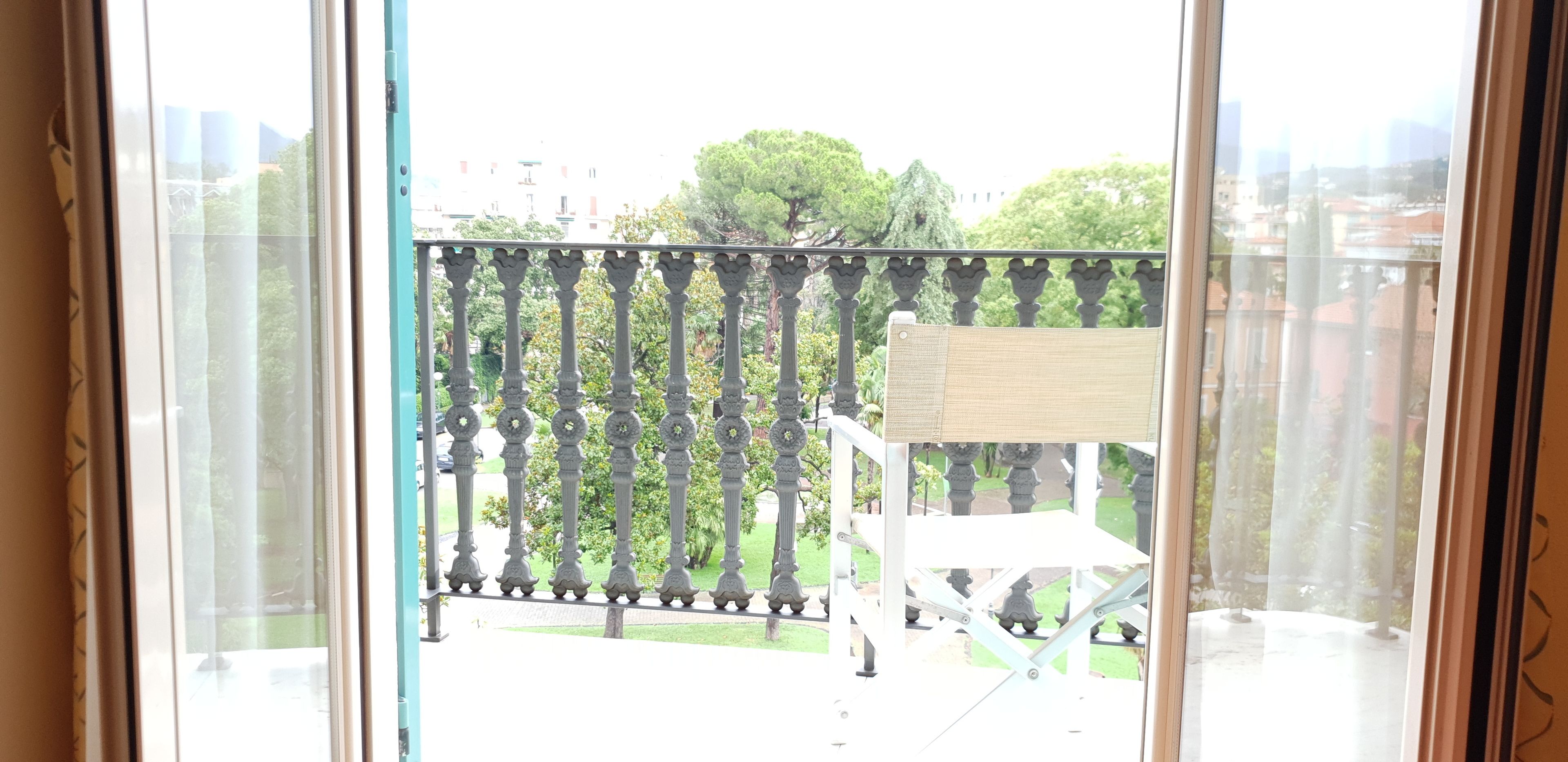 standard single room | garden view