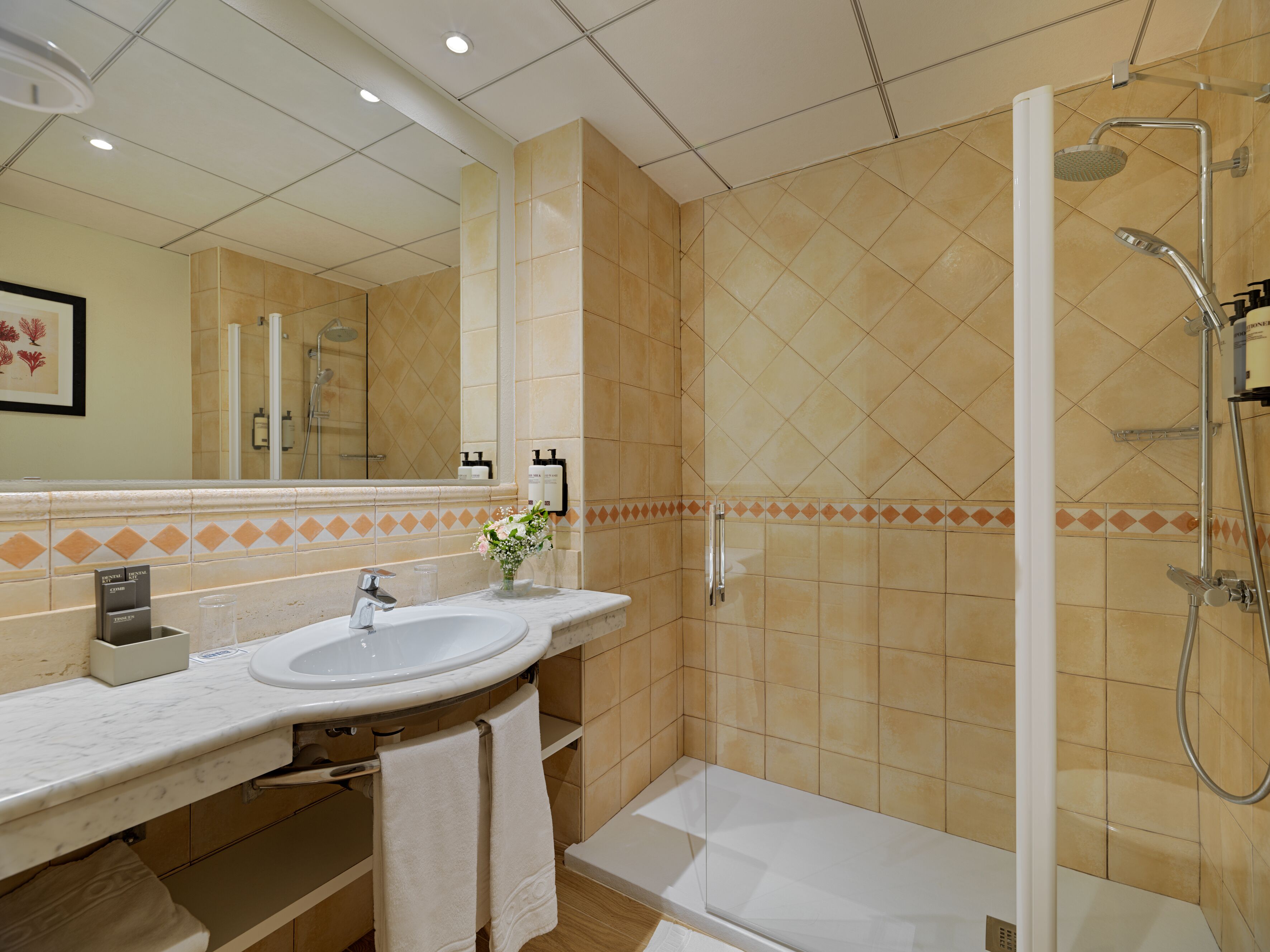 Une salle de bain avec un lavabo, un miroir et une douche.