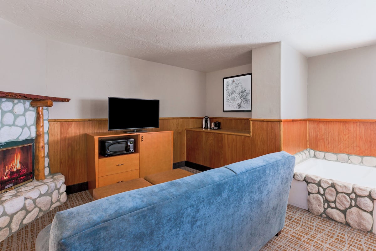 A cozy room with a stone fireplace, a television, a microwave, and a blue sofa.