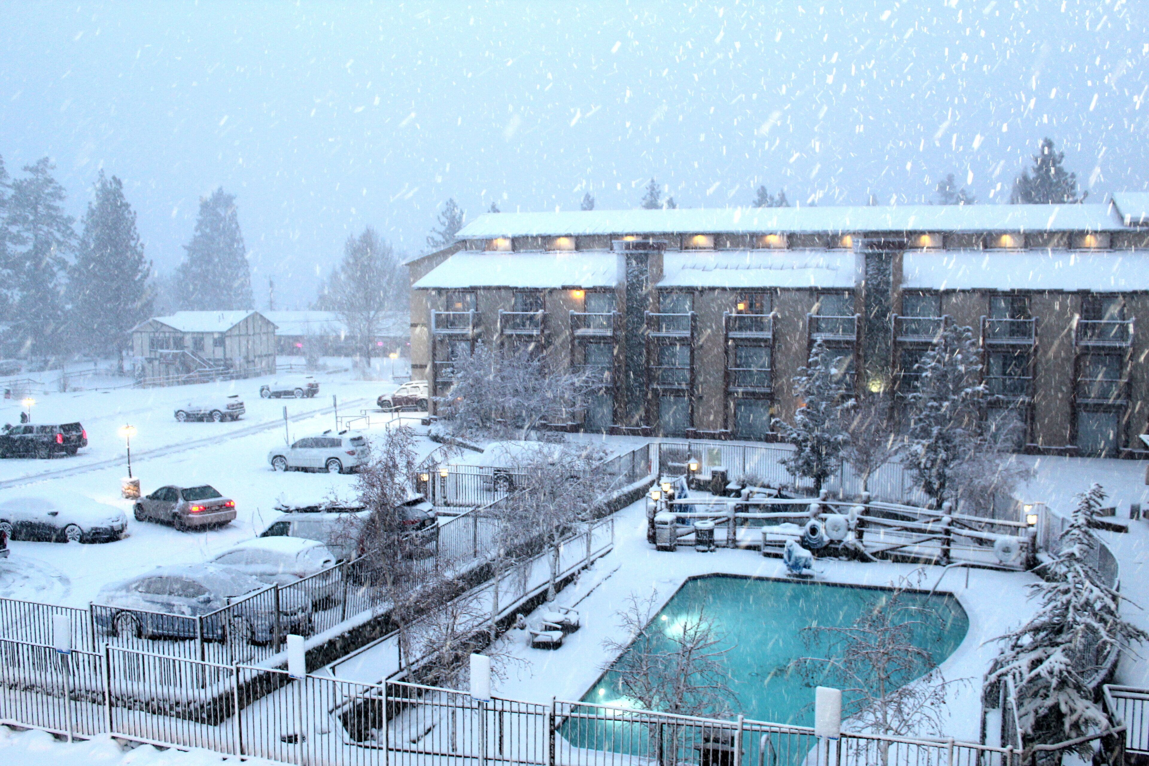 Un hotel con piscina, rodeado de árboles cubiertos de nieve y coches aparcados.