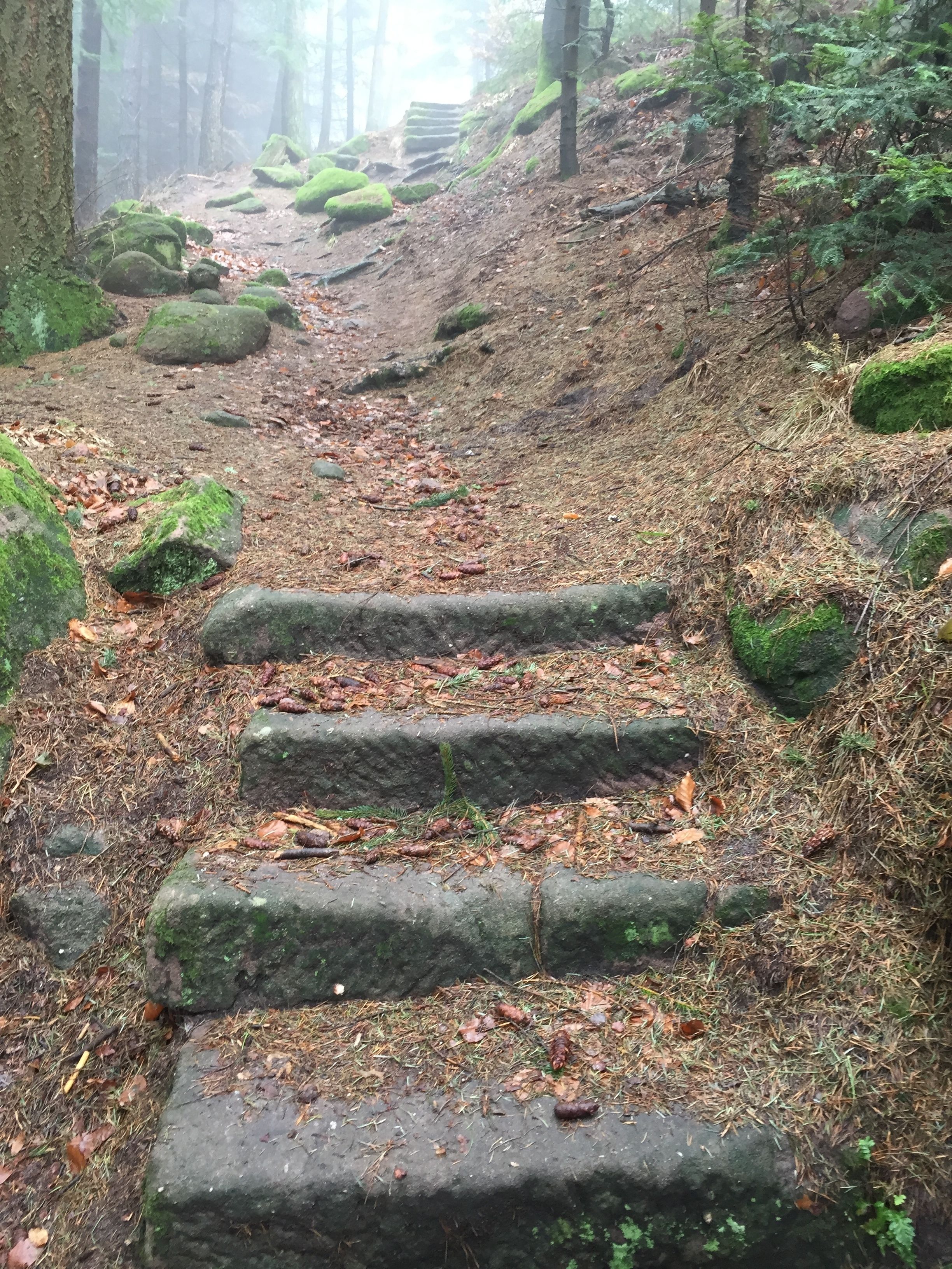 Foto - Hotel Kull von Schmidsfelden