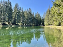 Natural pool