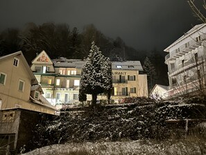 Vista desde la propiedad