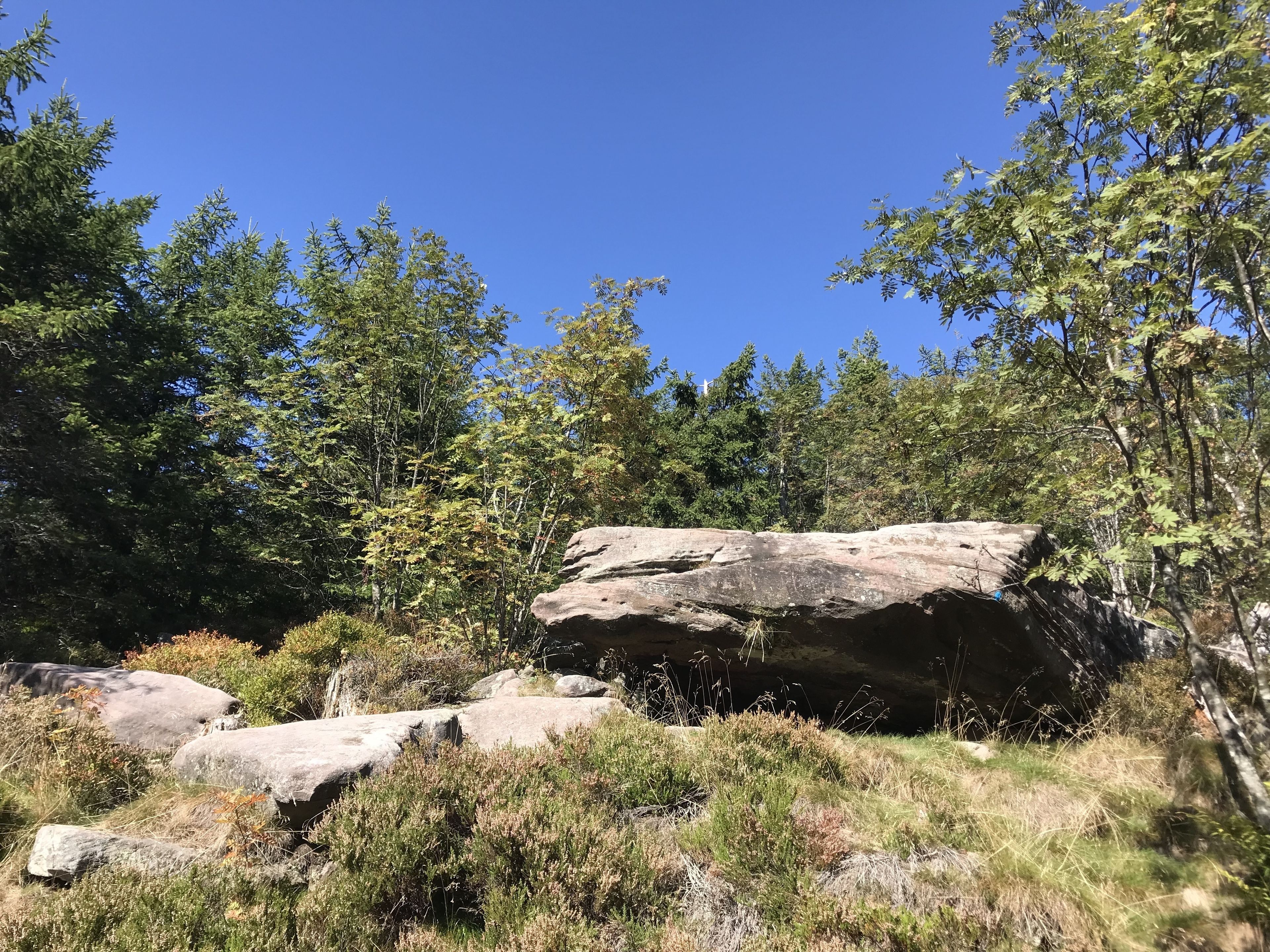 A natural landscape with large rocks and dense green foliage under a clear blue sky.