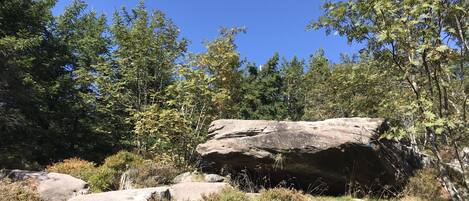 A natural landscape with large rocks and dense green foliage under a clear blue sky.