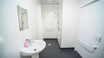 A bathroom with a white sink, mirror, shower, and grab bars.