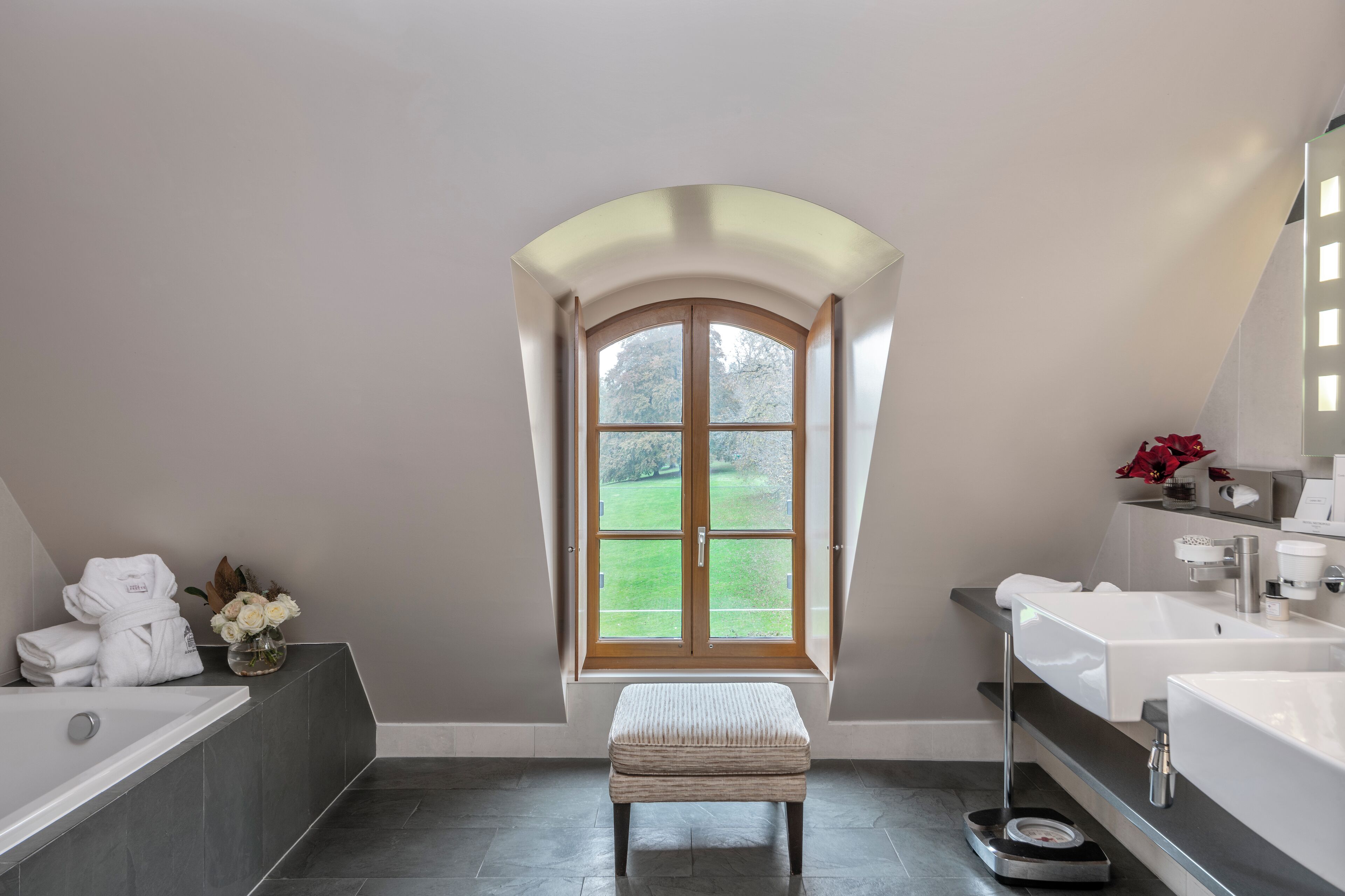 Photo - Hotel Parc des Eaux-Vives