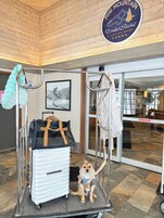 Un perro sentado sobre un carrito de equipaje en un vestíbulo con techo de madera y un letrero de Pine Mountain TimberStone Ski and Golf Resort.