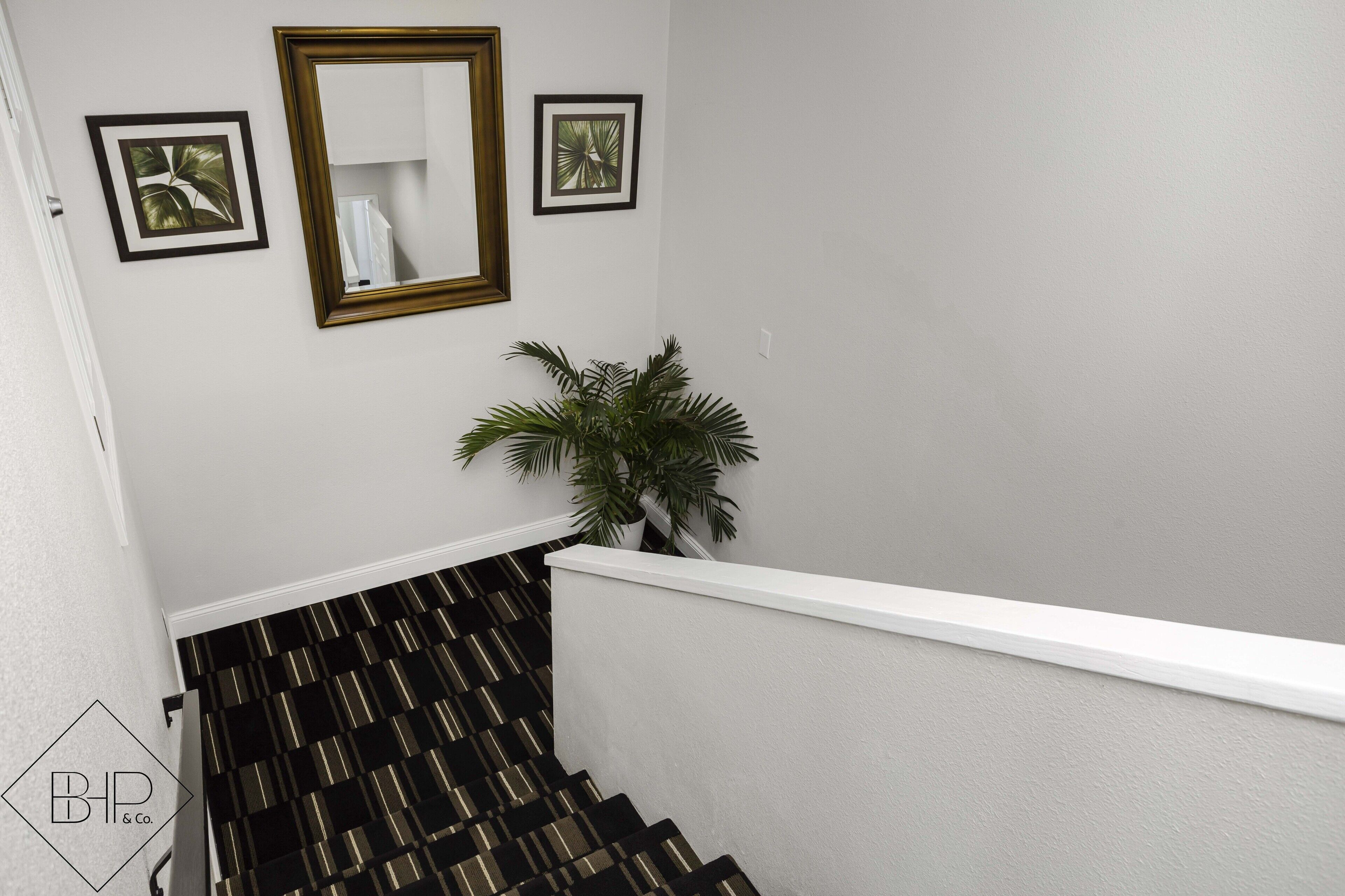 A staircase with black and gold striped carpet, a white wall, and a potted plant.