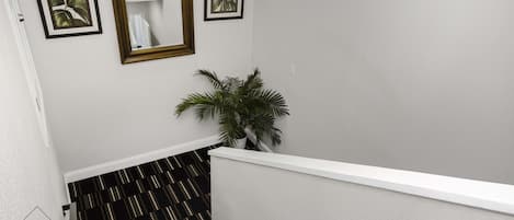 A staircase with black and gold striped carpet, a white wall, and a potted plant.