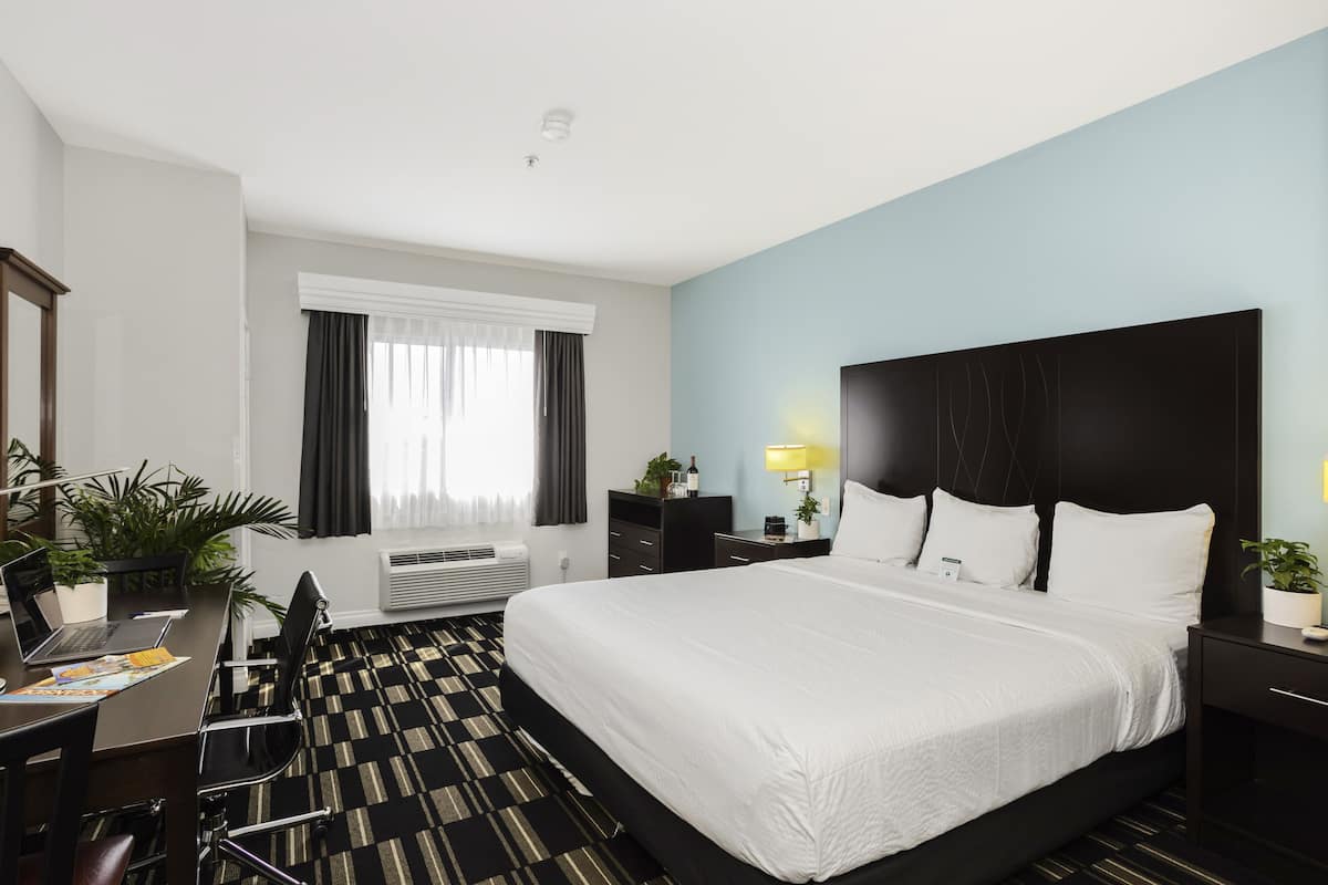 Kamar Standar, 1 Tempat Tidur King | Kamar mandi | Kombinasi shower/bathtub dan perlengkapan mandi gratis