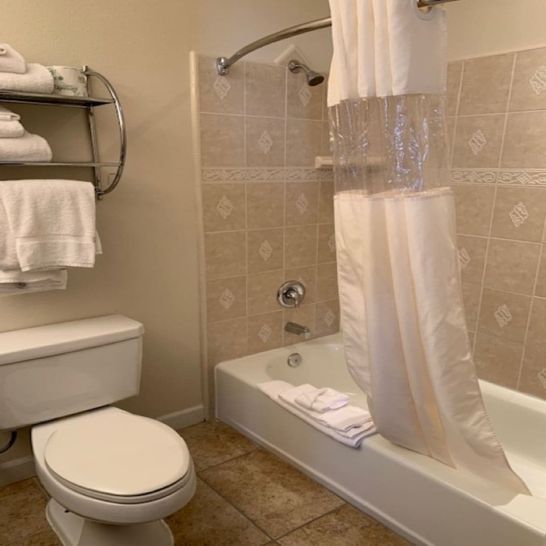combined shower/bathtub, free toiletries, hair dryer, towels